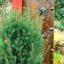 landscape/outside