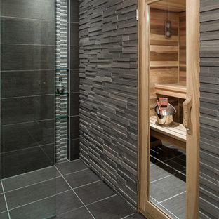 Basement Bathroom Houzz