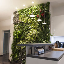 Plant wall