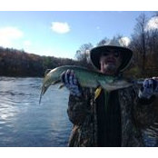 John Kress's photo