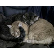 Brad Baker's photo