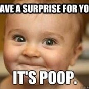 Mark Kochuk's photo