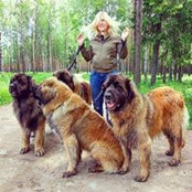 Ann Malsubs foto