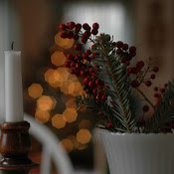 amber edrington's photo