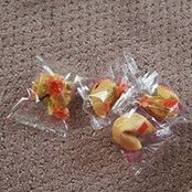 Amber Smithさんの写真
