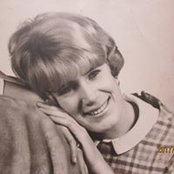 Carole Heflebower's photo