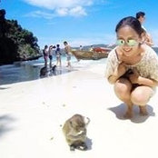 Sarah Lee's photo
