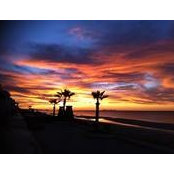 Elli Bogden's photo