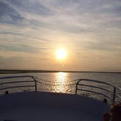 Vickie Carman's photo