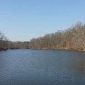 Thomas Runyan's photo