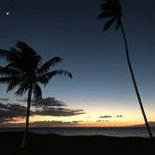 Lisa Wright Schilling's photo