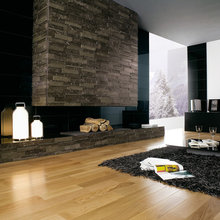 Fireplace Designs