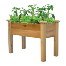 raised planters