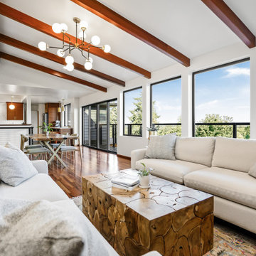 Mahogany Mid-Century Modern