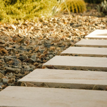 Desert Fern