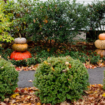 Houzz TV: Take a Leaf-Peeping Road Trip in New England