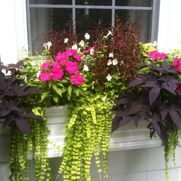 Container Gardens