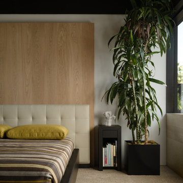 Vista Las Palmas Contemporary Remodel Palm Springs