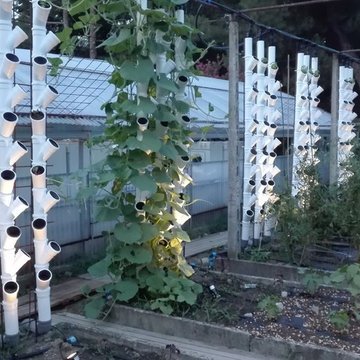 ILLUMINAZIONE ESTERNA IMPIANTO ACQUAPONICO