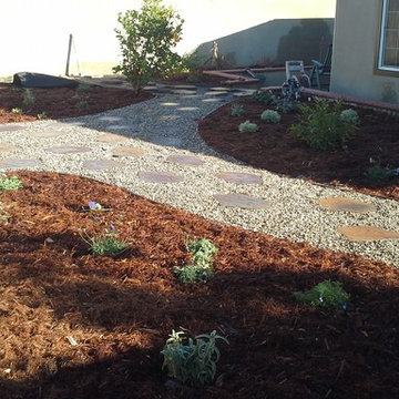 Garden Re-Vamp: From Desolate to Delightful!