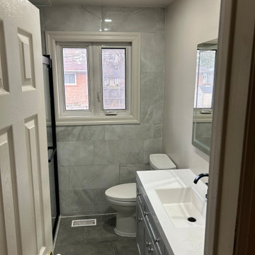 Michelle's main level/basement remodel