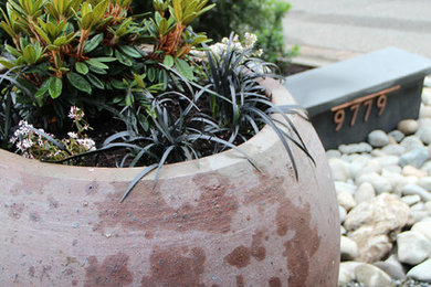 This is an example of a traditional landscaping in Seattle.