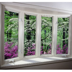 United Windows Sold by Elegant Entries - Windows