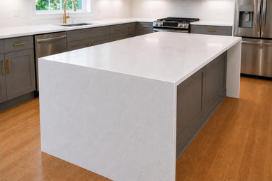 Inspiration for a kitchen remodel in DC Metro
