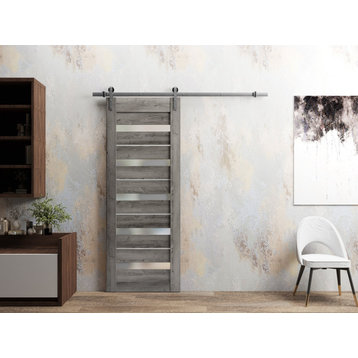 Barn Door 32 x 80, Quadro 4445 Nebraska Grey & Frosted Glass, Silver 6.6FT