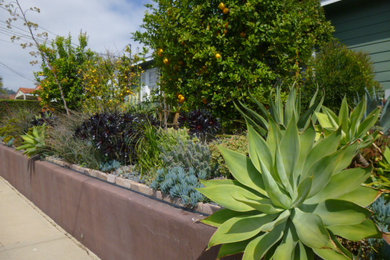 Design ideas for a southwestern landscaping in Los Angeles.