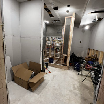 Basement Remodel