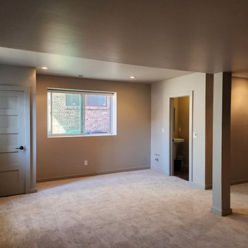 Centennial Basement Finish