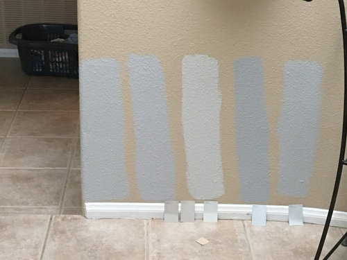 Agreeable Gray Against Beige Tile