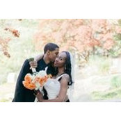 Fancy Bee's photo