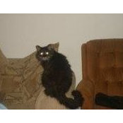 Brigitte Priddle's photo