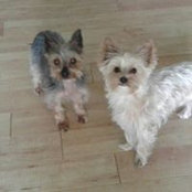 Debbie Flynt's photo