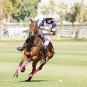 Patrick Uretz's photo