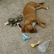 Connie Erb's photo