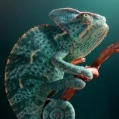 Michael Garrido's photo