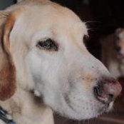 Sam Reetz's photo