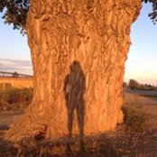 Teresa Smith's photo