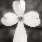 Foto de Alice Bragg Thomas
