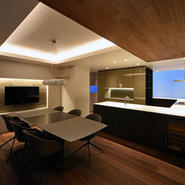 Snk-house