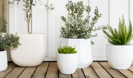 Up to 60% Off Pots + Planters