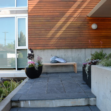 Contemporary Seaside Garden
