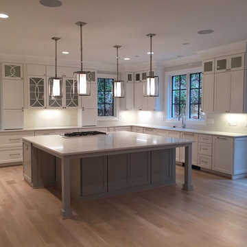 Calacatta Nuvo Kitchen Project