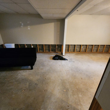Basement Finish with bathroom