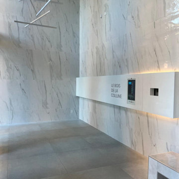 Commercial Project- Vestibule Reno