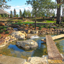 Rock Garden