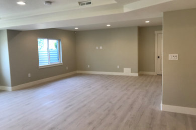 Inspiration for a basement remodel in Salt Lake City